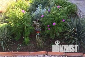 Дом 37м², 1-этажный, посуточно,