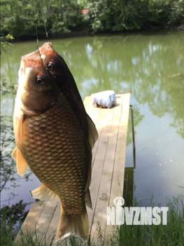 Дом 300м², 3-этажный, посуточно,