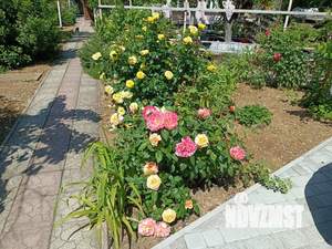 Дом 17м², 2-этажный, посуточно,