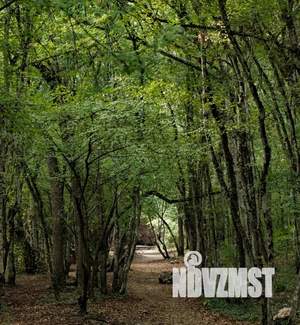 Дом 15м², 1-этажный, посуточно,