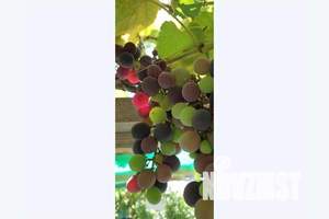 Дом 24м², 1-этажный, посуточно,