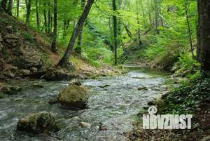 Дом 65м², 1-этажный, посуточно,