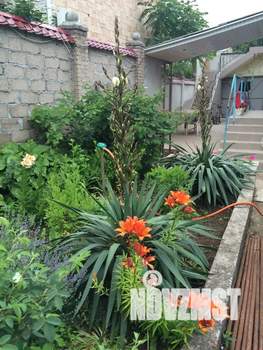 Дом 35м², 2-этажный, посуточно,