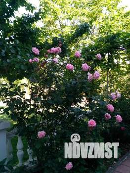 Дом 90м², 1-этажный, посуточно,