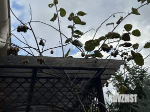 Дом 229м², 2-этажный, на длительный срок,