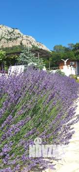 Дом 135м², 1-этажный, посуточно,