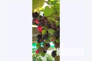 Дом 24м², 1-этажный, посуточно,