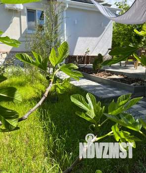 Дом 45м², 1-этажный, посуточно,