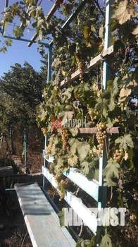 Дом 35м², 1-этажный, участок 6 сот.