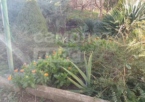 Дом 60м², 1-этажный, участок 8 сот.