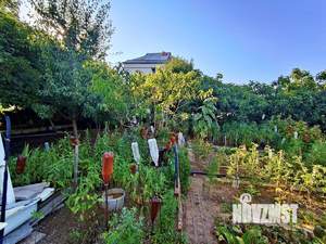 Дом 40м², 1-этажный, участок 5 сот.