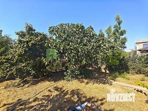 Дом 37м², 1-этажный, участок 5 сот.