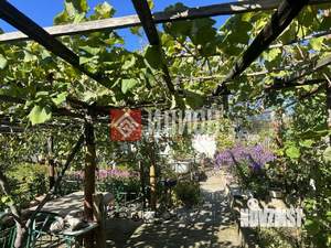 Дача 19м², 1-этажный, участок 762 сот.