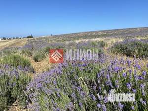 Дом 95м², 1-этажный, участок 17 сот.