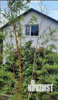 Дом 100м², 2-этажный, участок 7 сот.