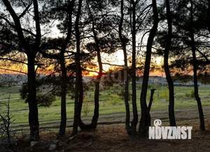 Дом 28м², 1-этажный, участок 8 сот.