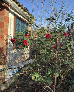 Дача 38м², 2-этажный, участок 4 сот.