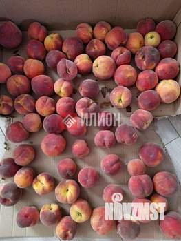 Дом 120м², 2-этажный, участок 8 сот.