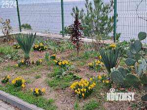 Дача 30м², 1-этажный, участок 5 сот.