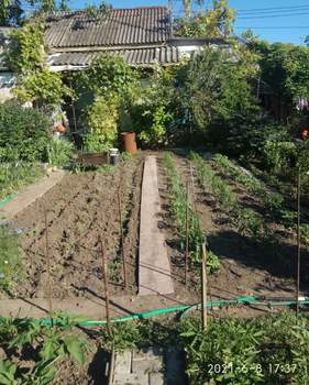 Дом 50м², 1-этажный, участок 6 сот.