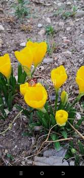 Дом 60м², 1-этажный, участок 4 сот.