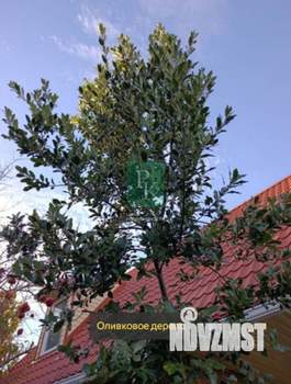 Дом 131м², 2-этажный, участок 4 сот.