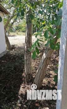 Дом 20м², 1-этажный, участок 6 сот.