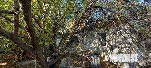 Дом 47м², 1-этажный, участок 3 сот.