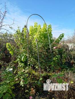 Дача 48м², 2-этажный, участок 11 сот.