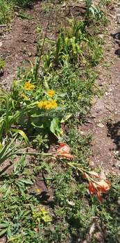 Дом 20м², 2-этажный, участок 4 сот.