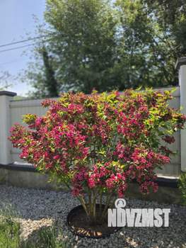 Дом 220м², 2-этажный, участок 11 сот.