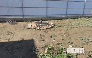 Дом 64м², 1-этажный, участок 9 сот.