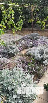 Дом 103м², 1-этажный, участок 9 сот.