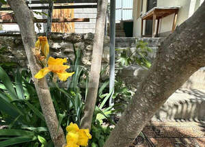 Дача 40м², 1-этажный, участок 9 сот.