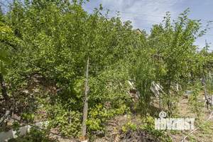 Дом 36м², 1-этажный, участок 5 сот.