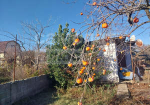 Дача 28м², 1-этажный, участок 8 сот.