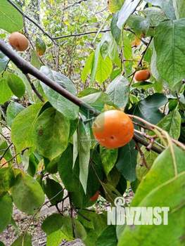 Дом 18м², 1-этажный, участок 5 сот.