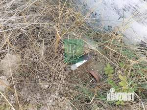 Дом 150м², 1-этажный, участок 7 сот.