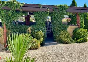 Дом 200м², 1-этажный, участок 6 сот.