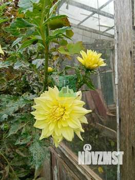 Дом 18м², 1-этажный, участок 5 сот.