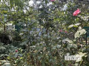 Дача 30м², 1-этажный, участок 5 сот.