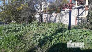 Дом 66м², 1-этажный, участок 3 сот.