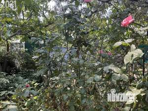 Дом 30м², 1-этажный, участок 5 сот.