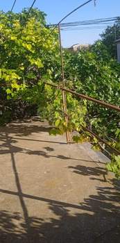 Дом 50м², 1-этажный, участок 6 сот.