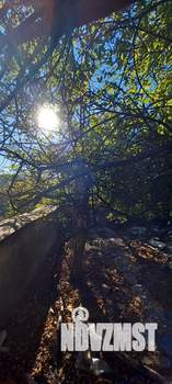 Дом 47м², 1-этажный, участок 3 сот.