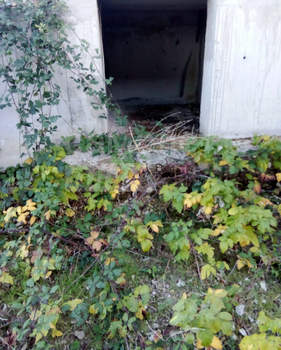 Дом 350м², 2-этажный, участок 20 сот.