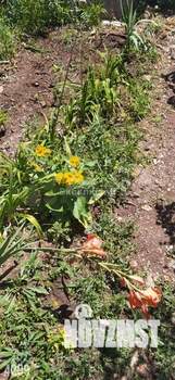 Дом 20м², 2-этажный, участок 4 сот.