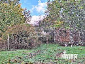 Дом 41м², 1-этажный, участок 6 сот.