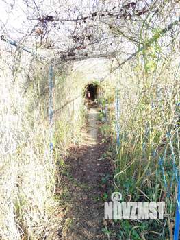 Дача 48м², 2-этажный, участок 11 сот.