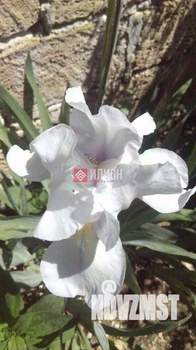 Дом 35м², 1-этажный, участок 6 сот.